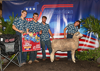 Reserve Champion White Ewe
Morgan Inbody