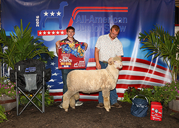 Reserve Champion White Ram
Andrew Anderson