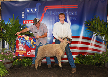 Reserve Champion NC Ewe
Gabe Scarberry