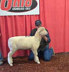 Reserve National Champion Ewe